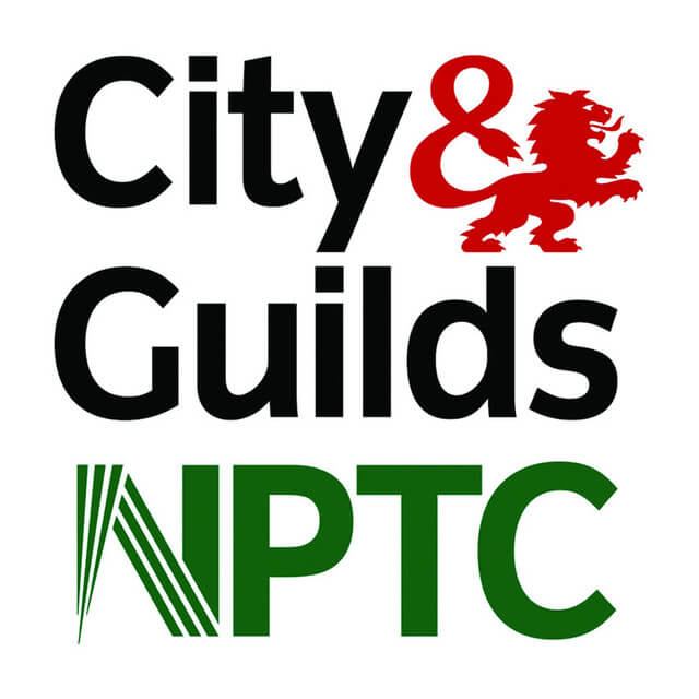 certificate logo City & Guilds